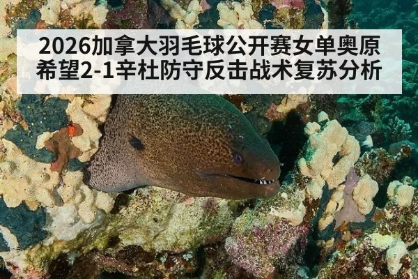 2026加拿大羽毛球公开赛女单奥原希望2-1辛杜防守反击战术复苏分析