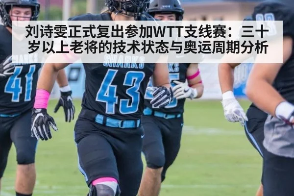 刘诗雯正式复出参加WTT支线赛:三十岁以上老将的技术状态与奥运周期分析